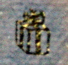 Thumbnail Photo
