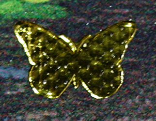 Thumbnail Photo